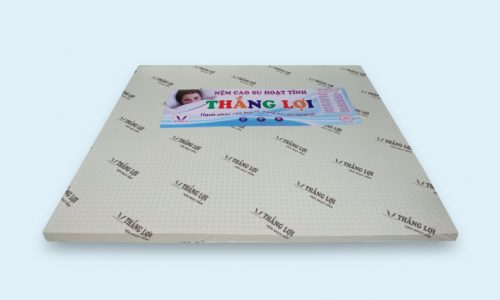 Nệm cao su hoạt tính Thắng Lợi