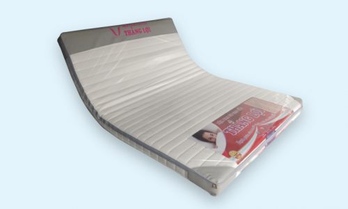 Nệm Foam Thắng Lợi