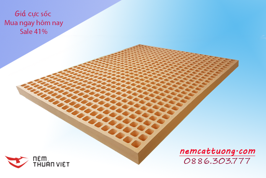 nệm cao su thiên nhiên giá rẻ